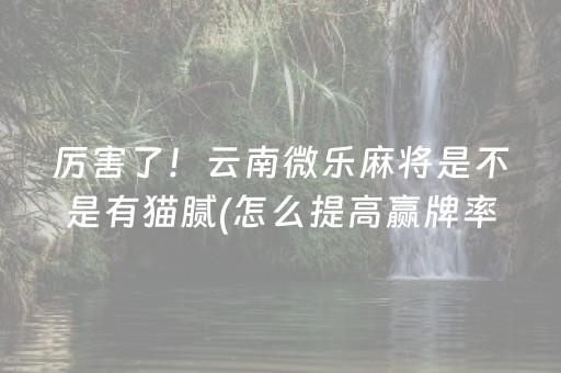 厉害了！云南微乐麻将是不是有猫腻(怎么提高赢牌率)
