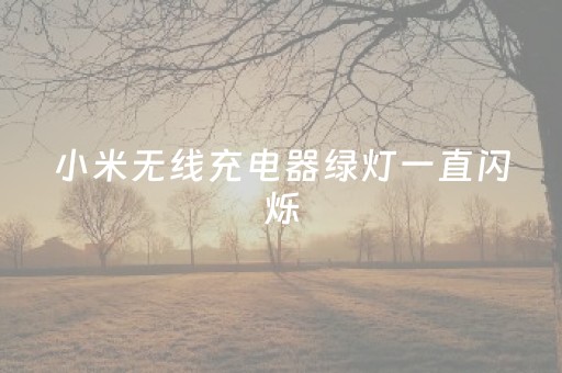 小米无线充电器绿灯一直闪烁（小米无线充电器绿灯一直闪烁 磁吸）