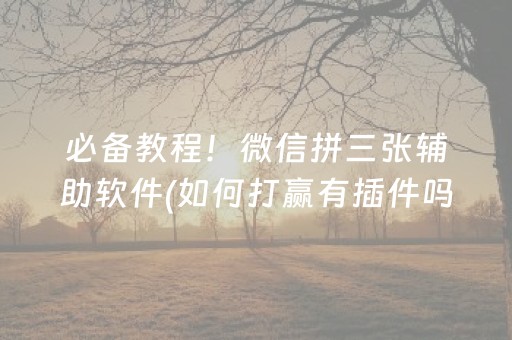必备教程！微信拼三张辅助软件(如何打赢有插件吗)