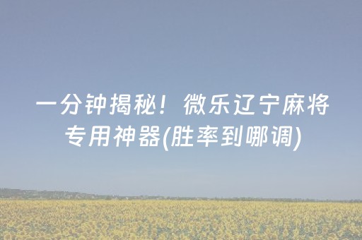 一分钟揭秘！微乐辽宁麻将专用神器(胜率到哪调)