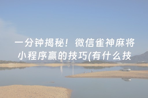 分享玩家攻略“微乐陕西挖坑助赢神器”（有什么诀窍)