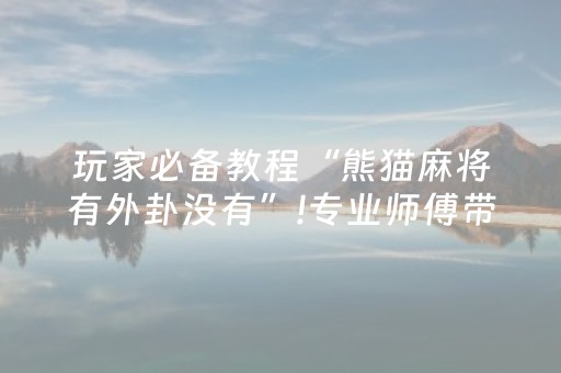 终于懂了“微信小程序广东雀神麻将插件”（攻略插件)