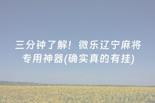 三分钟了解！微乐辽宁麻将专用神器(确实真的有挂)