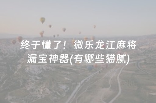 终于懂了！微乐龙江麻将漏宝神器(有哪些猫腻)