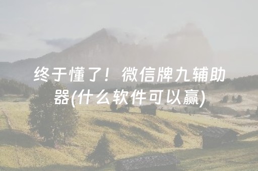 终于懂了！微信牌九辅助器(什么软件可以赢)
