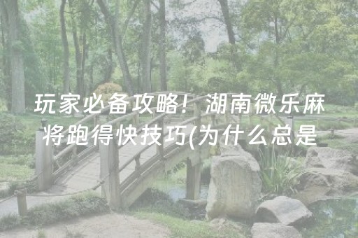 玩家必备攻略！湖南微乐麻将跑得快技巧(为什么总是输)