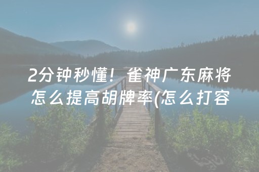 2分钟秒懂！雀神广东麻将怎么提高胡牌率(怎么打容易赢)