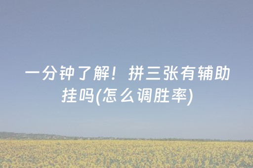 一分钟了解！拼三张有辅助挂吗(怎么调胜率)