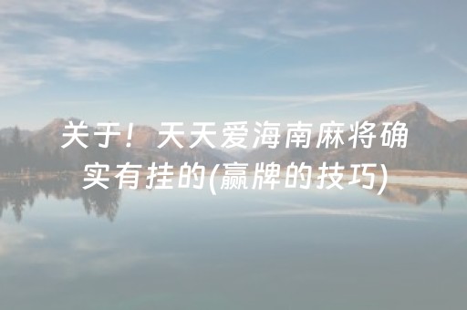 关于！天天爱海南麻将确实有挂的(赢牌的技巧)