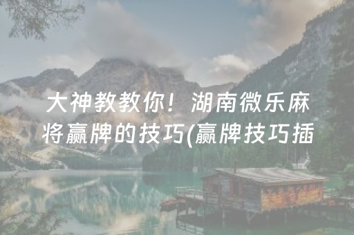 大神教教你！湖南微乐麻将赢牌的技巧(赢牌技巧插件安装)