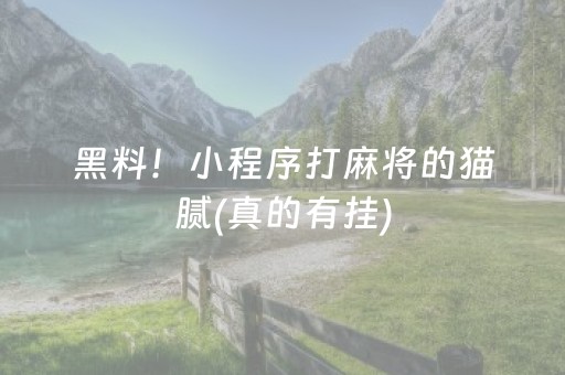 黑料！小程序打麻将的猫腻(真的有挂)