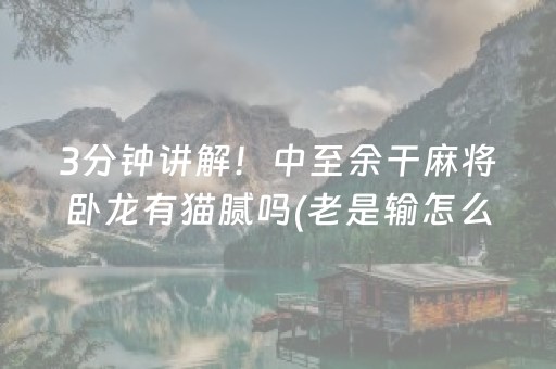 3分钟讲解！中至余干麻将卧龙有猫腻吗(老是输怎么办)