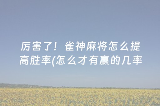 厉害了！雀神麻将怎么提高胜率(怎么才有赢的几率)