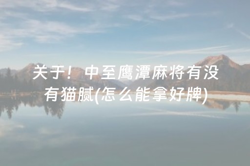 关于！中至鹰潭麻将有没有猫腻(怎么能拿好牌)