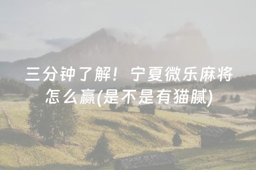 三分钟了解！宁夏微乐麻将怎么赢(是不是有猫腻)