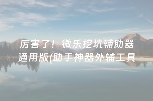 厉害了！微乐挖坑辅助器通用版(助手神器外辅工具)