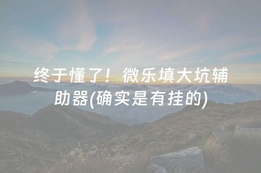 终于懂了“微乐锄大地辅助软件”（发牌有什么规律吗)