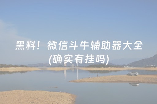黑料！微信斗牛辅助器大全(确实有挂吗)