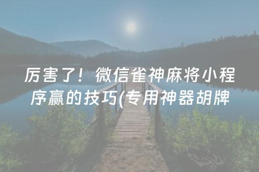 安装教程“微乐海南麻将助赢神器”（透明挂辅助器)