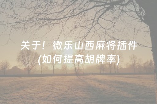 关于！微乐山西麻将插件(如何提高胡牌率)