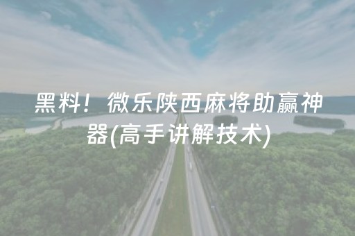 黑料！微乐陕西麻将助赢神器(高手讲解技术)