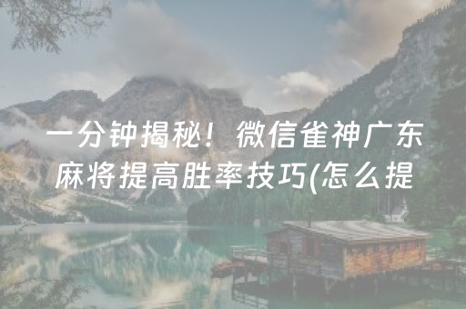 一分钟揭秘！微信雀神广东麻将提高胜率技巧(怎么提高胡牌率)