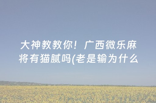 大神教教你！广西微乐麻将有猫腻吗(老是输为什么)