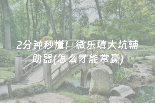 2分钟秒懂！微乐填大坑辅助器(怎么才能常赢)