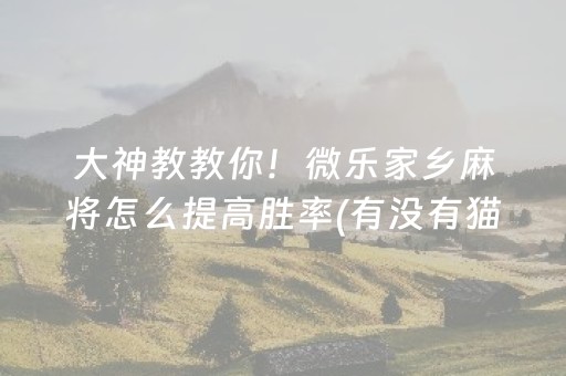 大神教教你！微乐家乡麻将怎么提高胜率(有没有猫腻)