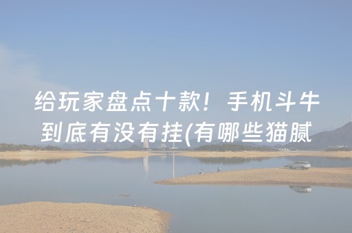 给玩家盘点十款！手机斗牛到底有没有挂(有哪些猫腻)