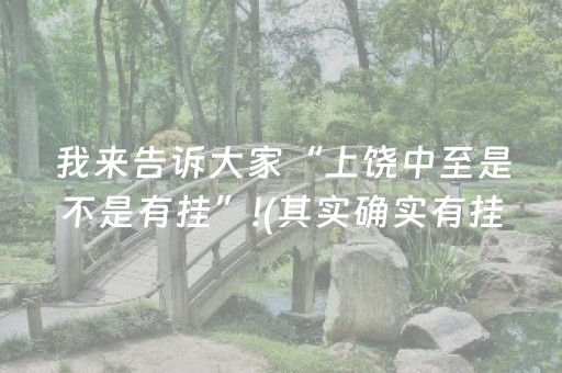 给玩家盘点十款“微乐湖北麻将专用神器”（为什么有人一直赢)