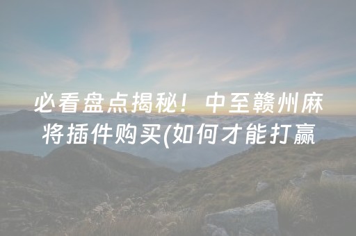 必看盘点揭秘！中至赣州麻将插件购买(如何才能打赢)