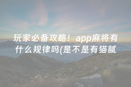 玩家必备攻略！app麻将有什么规律吗(是不是有猫腻)
