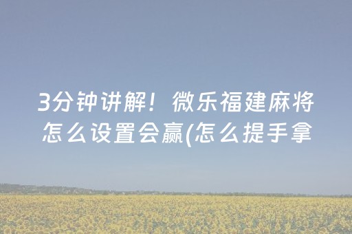 3分钟讲解！微乐福建麻将怎么设置会赢(怎么提手拿好牌)