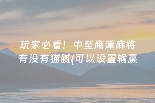 玩家必看！中至鹰潭麻将有没有猫腻(可以设置输赢吗)