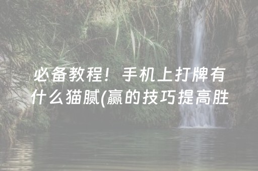 必备教程！手机上打牌有什么猫腻(赢的技巧提高胜率)