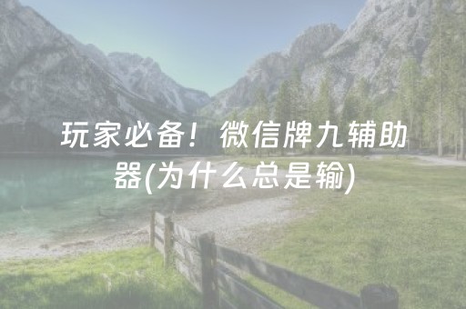 玩家必备！微信牌九辅助器(为什么总是输)