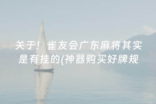 关于！雀友会广东麻将其实是有挂的(神器购买好牌规律)