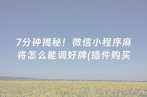 必看盘点揭秘“微乐麻将插件购买”（通用挂软件多少钱)