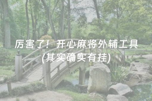 厉害了！开心麻将外辅工具(其实确实有挂)