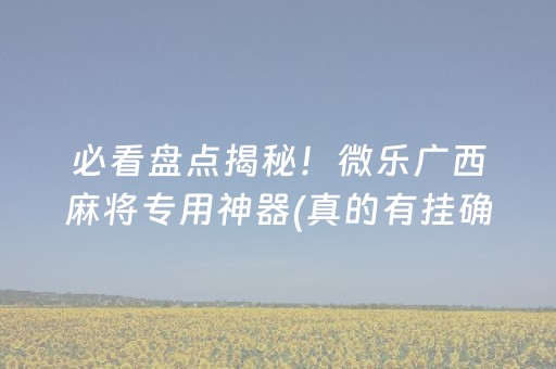 必看盘点揭秘！微乐广西麻将专用神器(真的有挂确实有挂)
