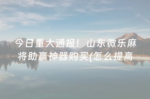 今日重大通报！山东微乐麻将助赢神器购买(怎么提高胜率)