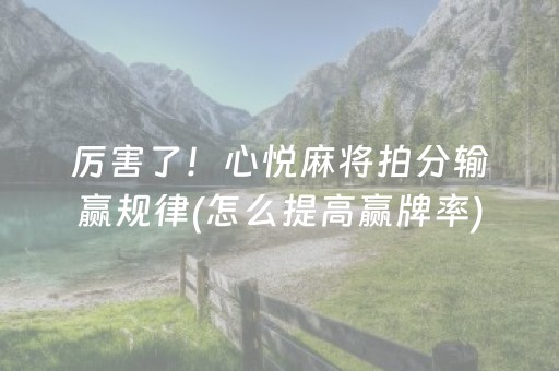 给玩家盘点十款“微信小程序财神十三张有挂的”（专用神器下载)