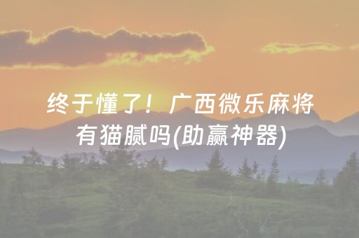 终于懂了！广西微乐麻将有猫腻吗(助赢神器)