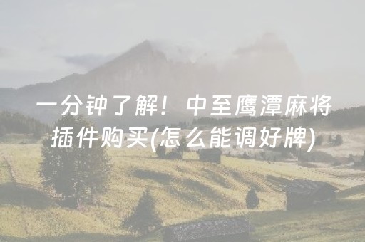 厉害了“微乐辽宁麻将辅牌器”（技巧和打好牌方法)