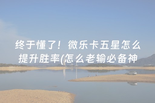 玩家必备教程“微乐填大坑一直输”（攻略插件)