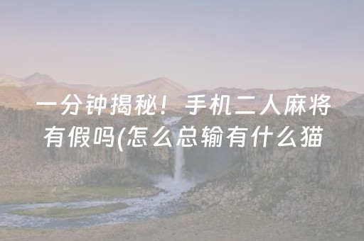 一分钟揭秘！手机二人麻将有假吗(怎么总输有什么猫腻)