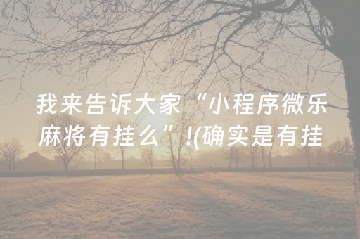 玩家必备十款“微乐保皇怎么能让牌好一点”（插件开挂免费AI)