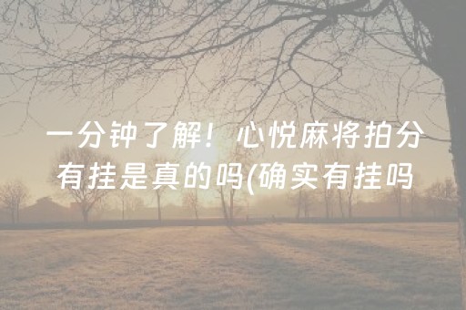 玩家必看“财神十三张辅助神器”（专用神器下载)