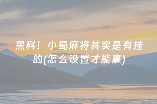 介绍十款“微乐三代必赢神器辅助器”（插件可信吗)